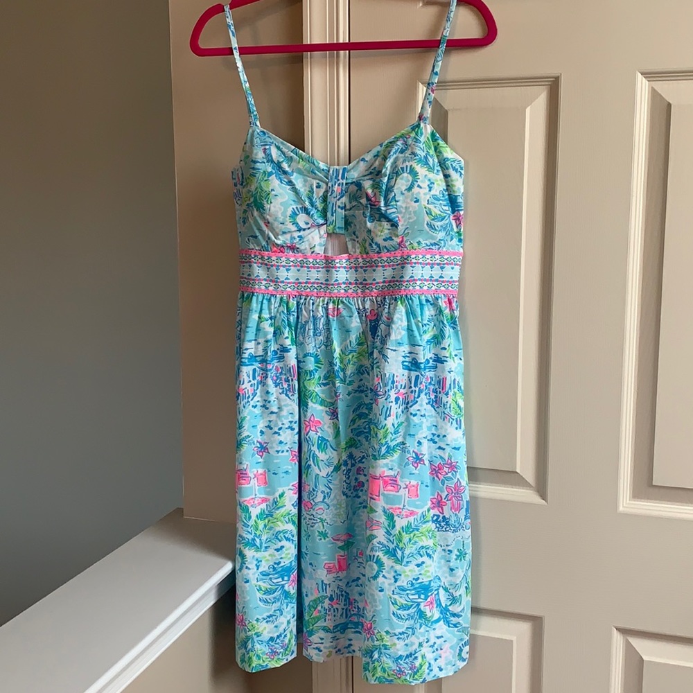 Lilly Pulitzer Katlynn dress What a Lovely Place